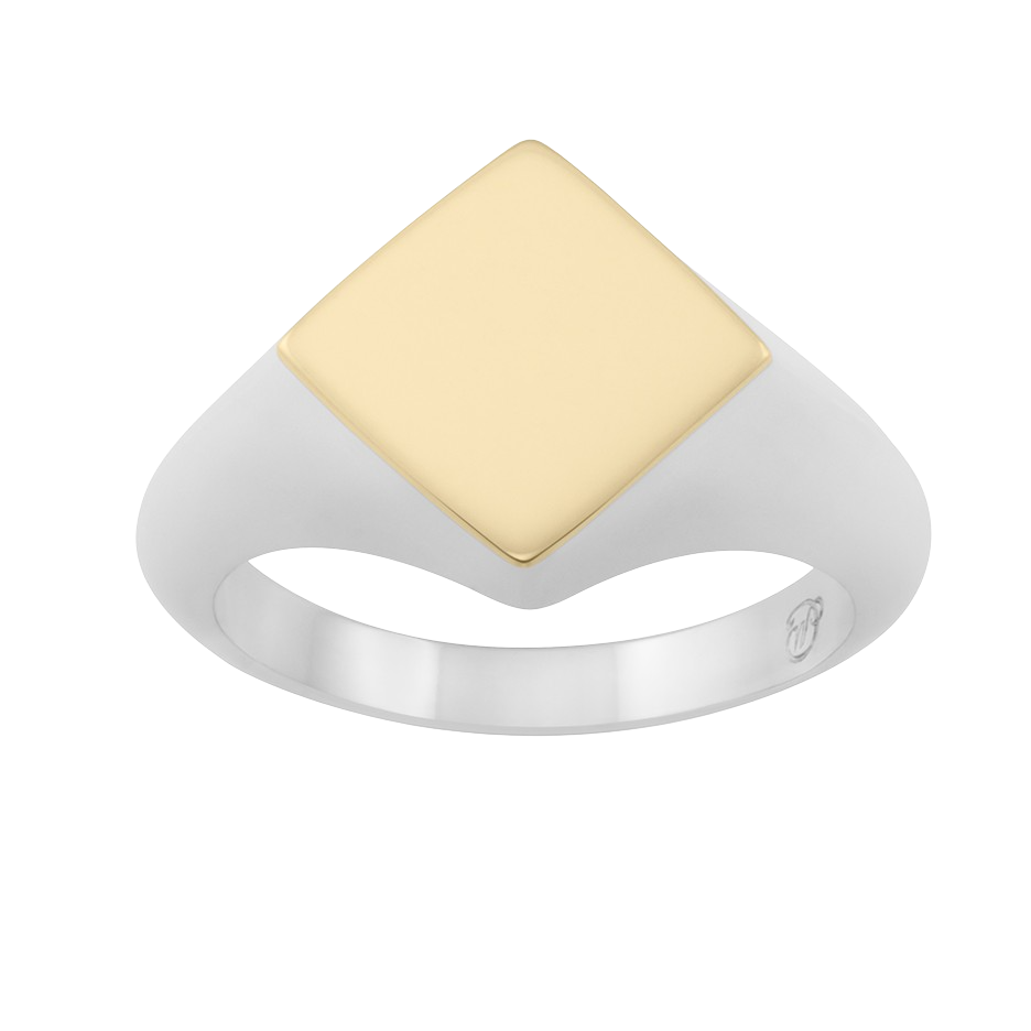 Rhembo Signet Ring. 9ct Yellow Gold & Sterling Silver - Monarc Jewellery