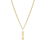 Mum Pendant and Necklace. Gold Vermeil