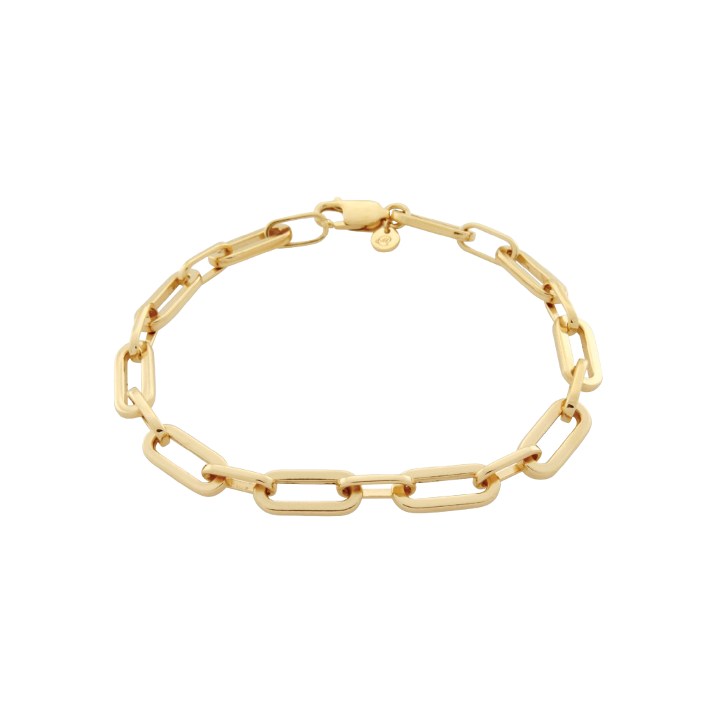 Suitor Chain Bracelet and Anklet. Gold Vermeil.