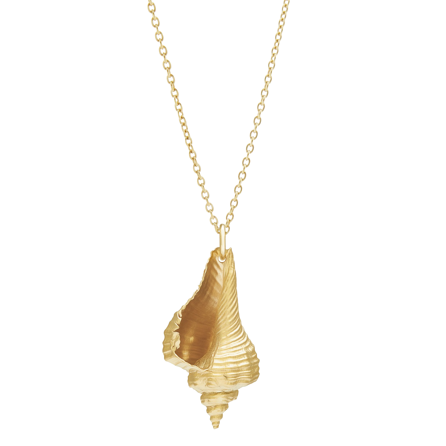 Praesidio Shell Necklace, Gold Vermeil. Co-Designer Christina Macpherson - Monarc Jewellery