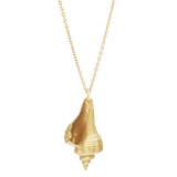 Praesidio Shell Necklace, Gold Vermeil. Co-Designer Christina Macpherson
